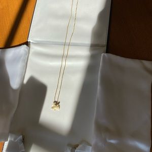 Gold Chain and Turtle Pendant